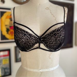Free People Intimates Strappy Leopard Lace Bra Padded 36C